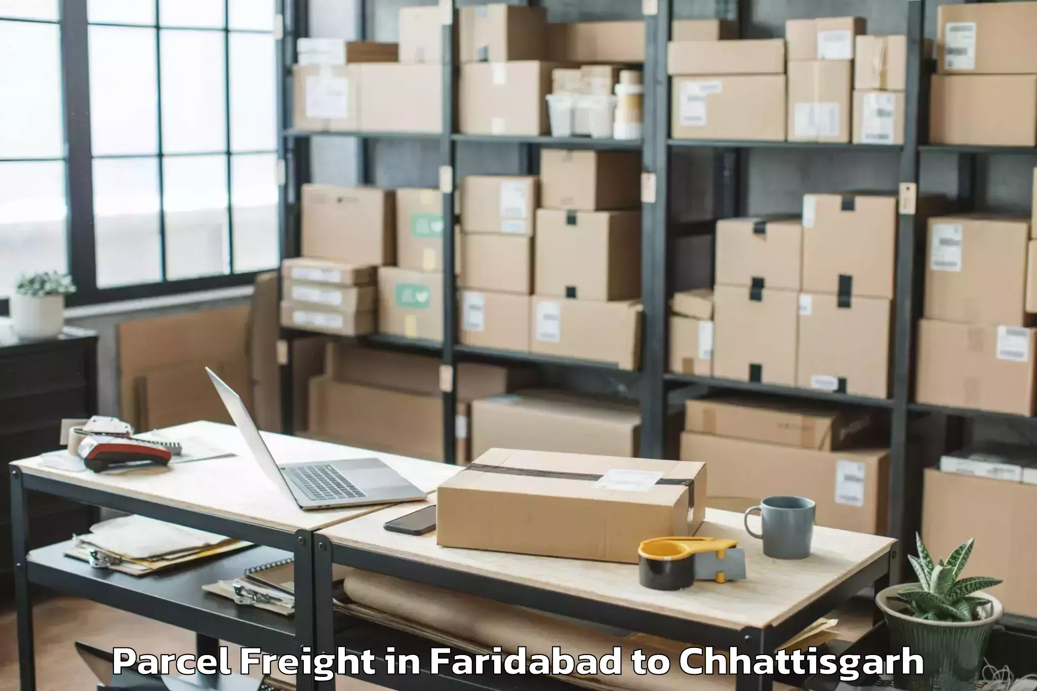 Leading Faridabad to Bhalai Parcel Freight Provider